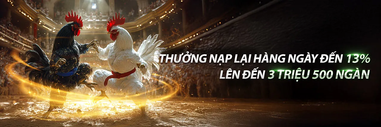 Đá Gà Thomo 24/9 kịch tính tại F88Bet Beta